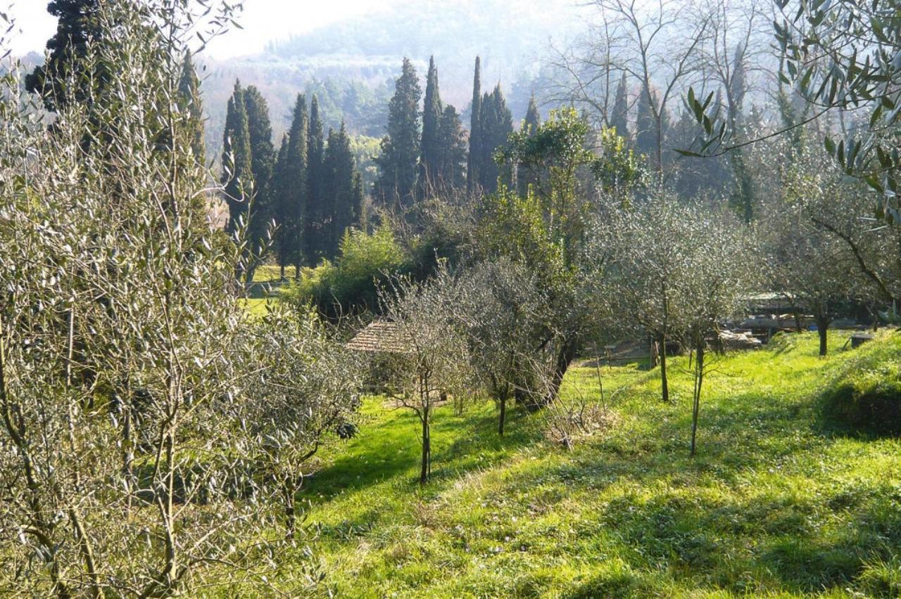Holiday Home Casa Carla, Ripafratta Buitenkant foto