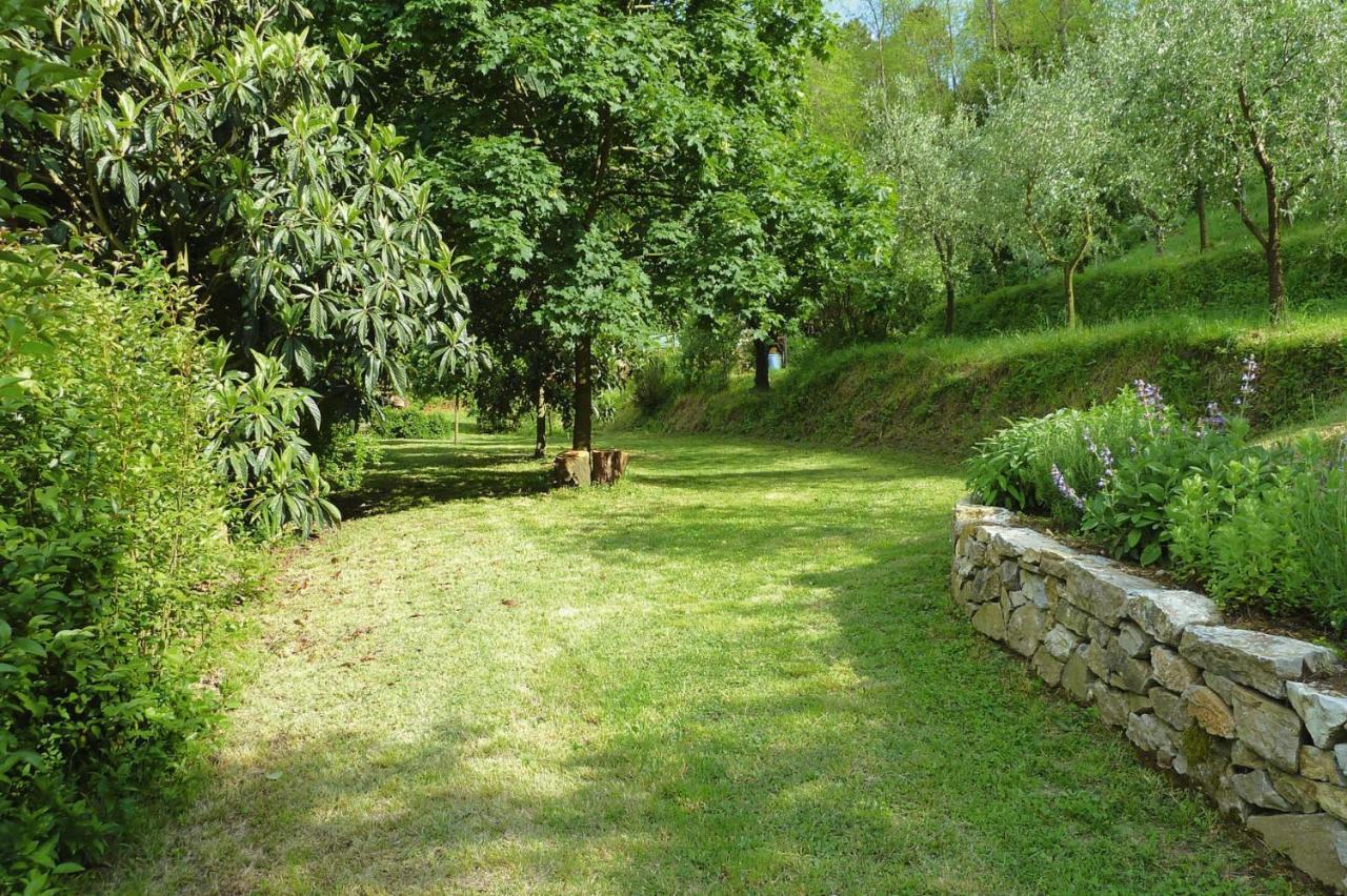 Holiday Home Casa Carla, Ripafratta Buitenkant foto